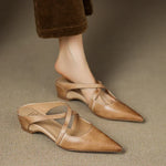 Albicocca